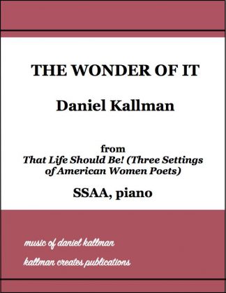"The Wonder of It" by Daniel Kallman